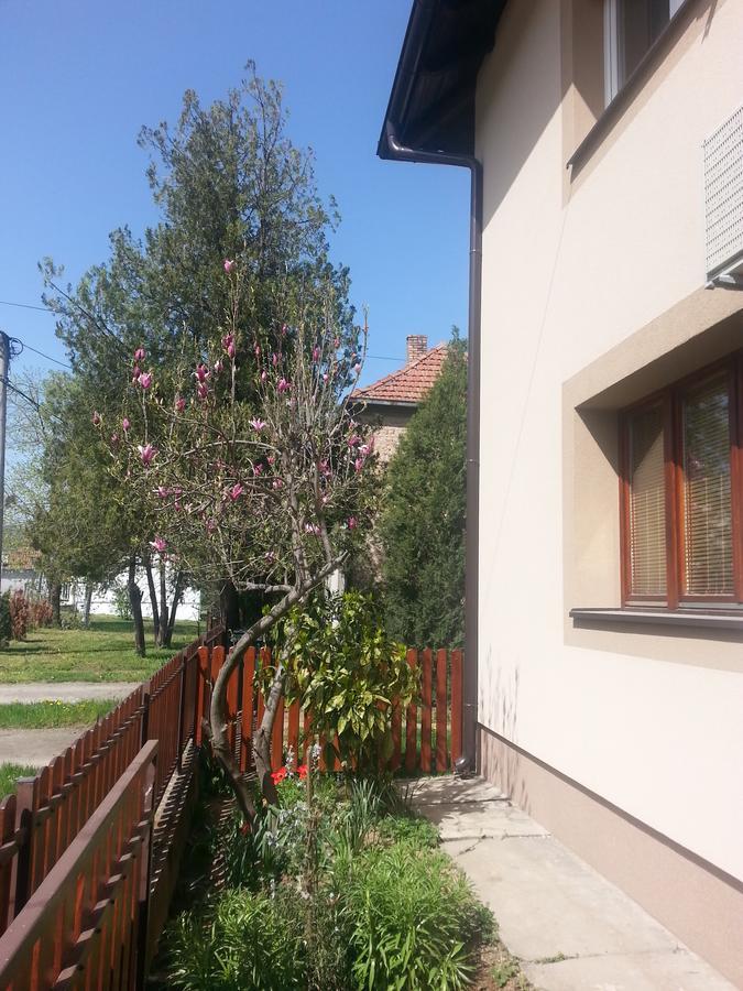 Sweet Dreams Apartment Arandjelovac Luaran gambar